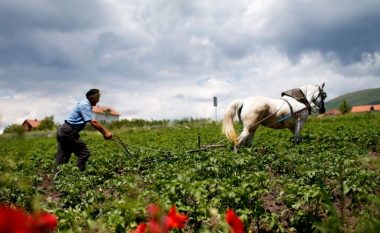 Kosova me pasuri të mëdha, por të pashfrytëzuara