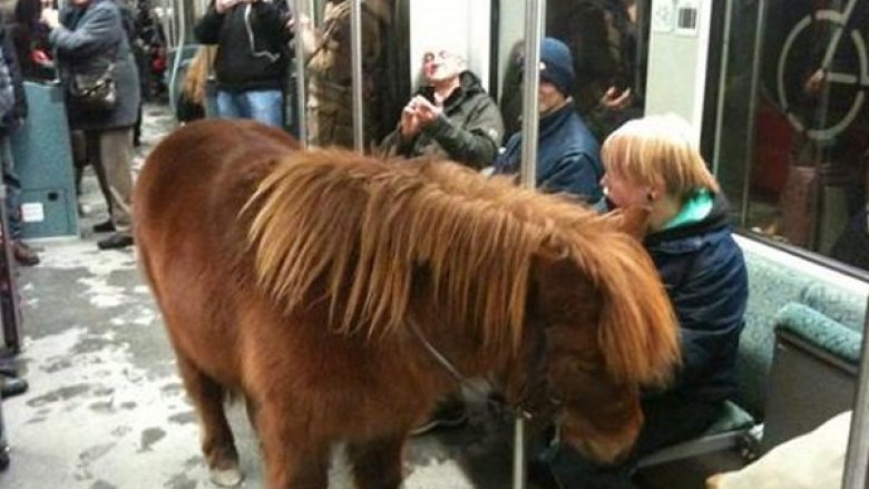 Momente të pazakonshme në metro (Foto)