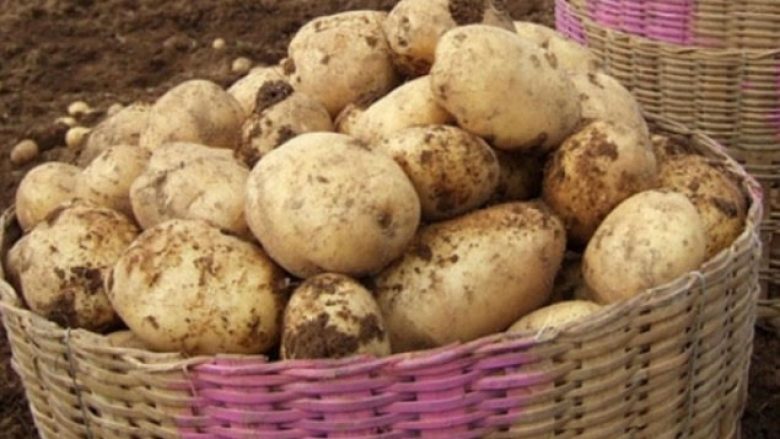 Prodhuesit e patates të kënaqur, rritet çmimi në treg