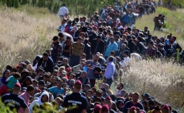 Shqipëria merr përgjegjësitë për zgjidhjen e krizës së refugjatëve