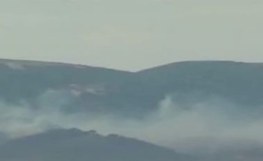 Zjarr në Sazan, e pamundur ndërhyrja e zjarrfikësve (Video)
