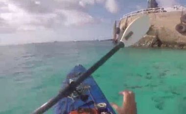 Rrethohet nga peshkaqenët teksa lundronte, shikoni çfarë ndodh më pas (Video)