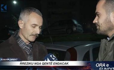 “Shteti të veprojë që qentë endacakë të mos jenë rrezik për qytetarët”