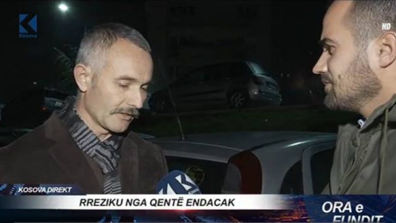 “Shteti të veprojë që qentë endacakë të mos jenë rrezik për qytetarët”