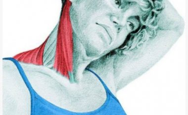 Këto ilustrime shpjegojnë se cilët muskuj po i zgjatni gjatë ushtrimeve të ndryshme (Foto)