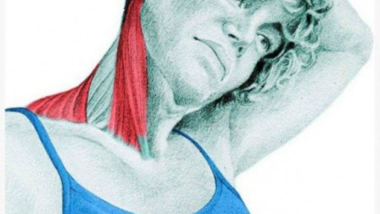Këto ilustrime shpjegojnë se cilët muskuj po i zgjatni gjatë ushtrimeve të ndryshme (Foto)