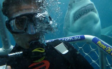 Tmerr nën ujë, rrezikon jetën për të bërë selfie me peshkaqenin (Foto/Video)
