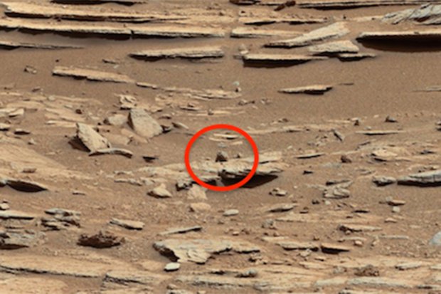 Groundhog on Mars! credit: Nasa/UFO Sightings Daily