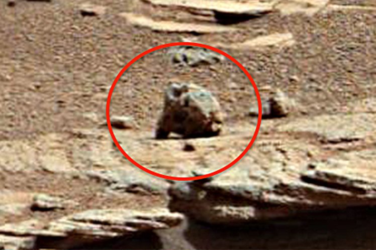 Groundhog on Mars! credit: Nasa/UFO Sightings Daily