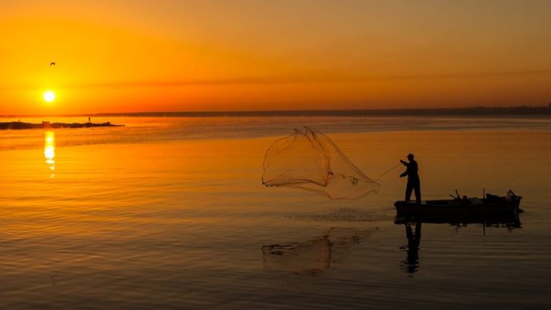 Peshkatari bëhet milioner, pasi iu kap diçka e pazakontë në rrjet (Foto)