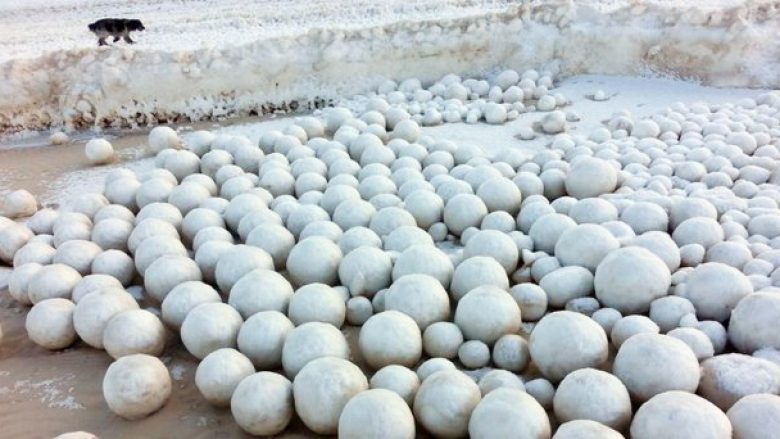 Giant snowballs in Nyda - 3 - The Siberian Times.jpg