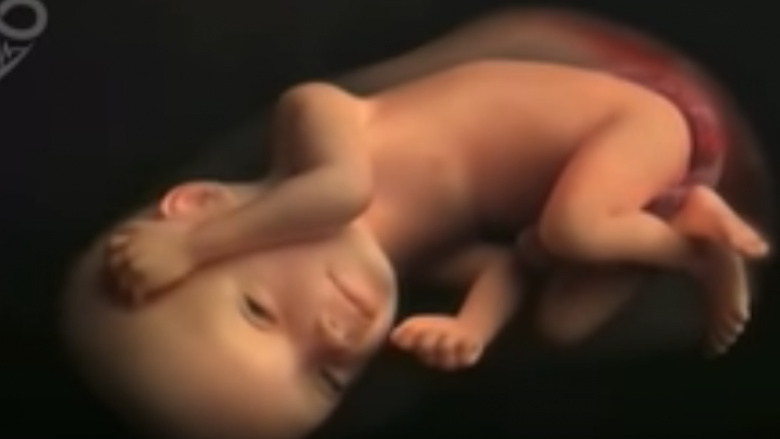 Nëntë muajt e shtatzënisë në KATËR MINUTA (Video)