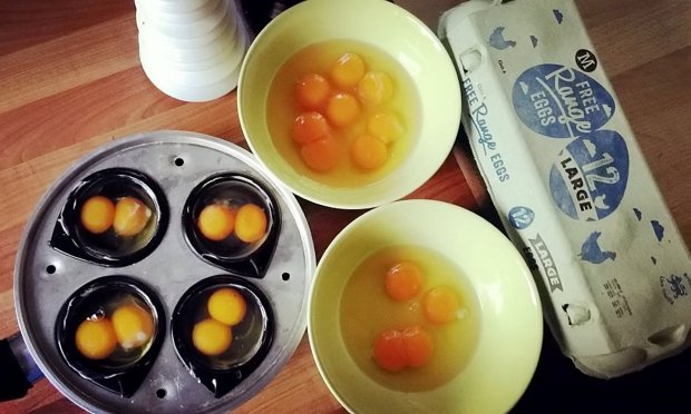 Theu dhjetë vezë dhe të gjitha dolën të jenë me nga dy të verdhë (Foto)