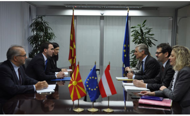 Ademi-Linhart: Bisedohet për zgjedhjet në Maqedoni