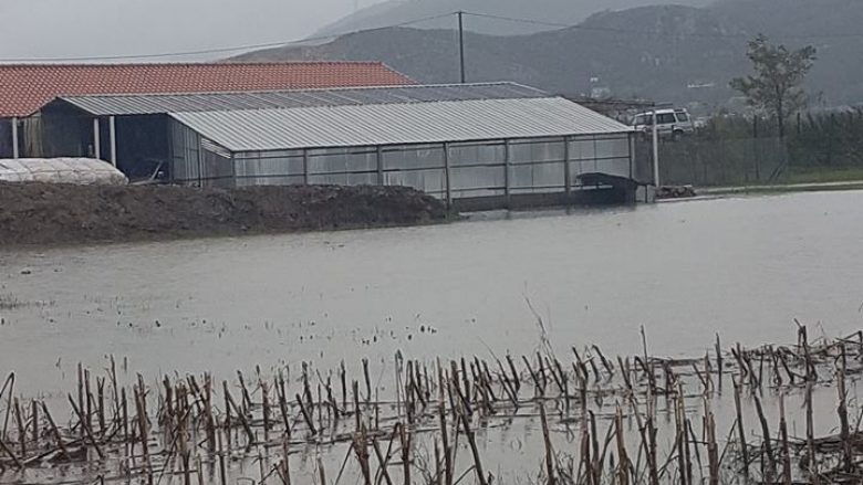 Basha në zonat e përmbytura në Lezhë