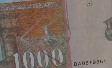 Buxheti 2018 i Maqedonisë, kritika për projektimet për pagat dhe akcizën