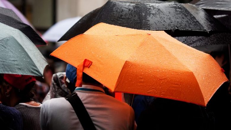 Ministria paguan 17.5 euro për një çadër