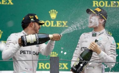 Hamilton apo Rosberg: Si do të vendoset titulli i Formula 1 (Foto)