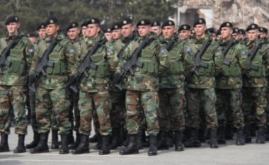 Mbi 800 milionë euro nevojiten për funksionalizimin e Forcave të Armatosura të Kosovës