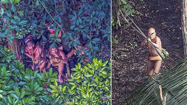 Fisi i humbur në Amazonë trembet nga helikopteri (Foto)