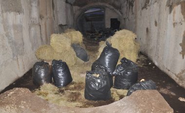 Zbulohet tuneli i kanabis në  Sarandë (Foto)