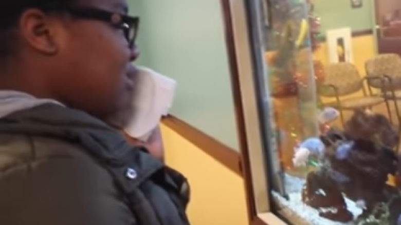 Pacientja nën anestezion, qanë për peshqit që po i “ngordhnin” në akuarium (Video)