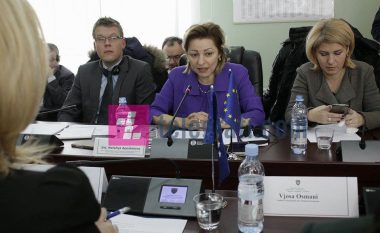 Apostolova: Muret si ai në Mitrovicë, nuk janë projekte të BE-së