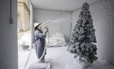 A e dini se ku prodhohen pemët e Krishtlindjeve, shumica e tyre? (Foto)