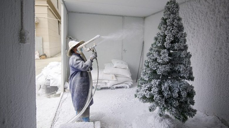 A e dini se ku prodhohen pemët e Krishtlindjeve, shumica e tyre? (Foto)