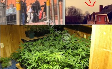 Policia zbulon ‘banesën e drogës’ në Belgjikë, shqiptarët tentojnë të arratisen nga çatia (Video)