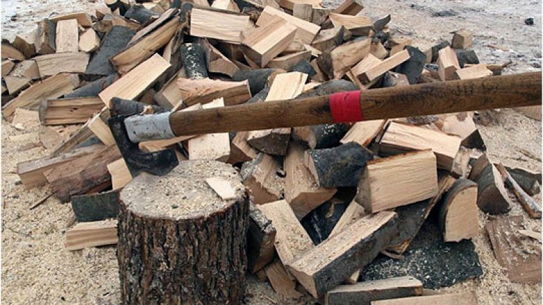 “Pyjet e Maqedonisë” shpall thirrje për blerje të druve për vitin 2017
