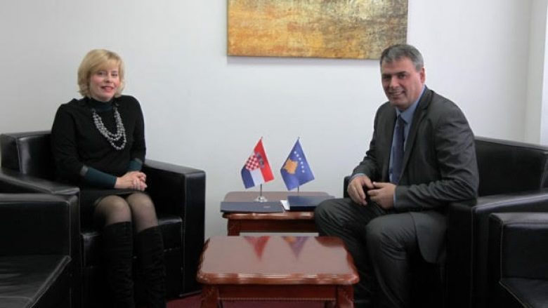 MFSK e interesuar për oferta të pajisjeve ushtarake nga Kroacia