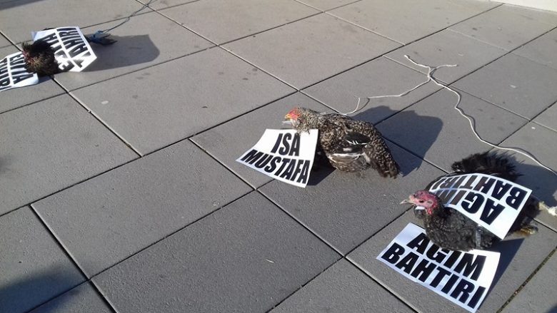 Protesta kundër murit: Vendosen pula e qurana me emrat e politikanëve para Qeverisë