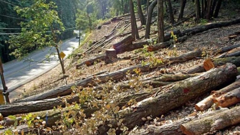 Vdes një person në Kamenicë pasi ishte lënduar duke prerë dru