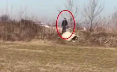 Momenti kur RENEA qëllon me snajper të riun në Lezhë (Video)