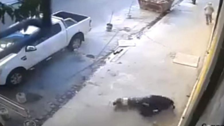 Pamje shqetësuese: Shoferi, tre plumba mbi të riun i cili tentoi të vidhte veturën e tij (Video,+18)