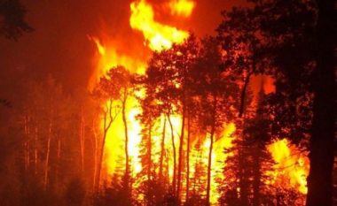 Shpërthen zjarr në malet në afërsi të komunës së Sarajit (Foto)