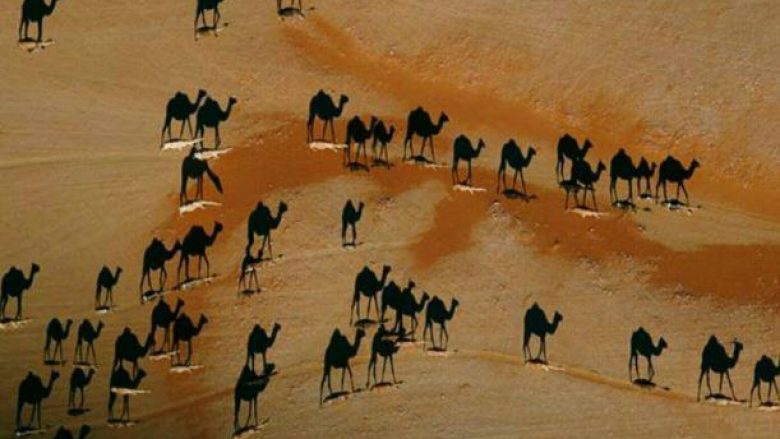 Imazhi që po çmend botën edhe pas një dekade: Cilat janë devetë? (Foto)