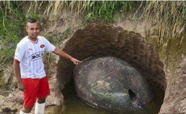 Dhjetë zbulime të jashtëzakonshme që njerëzit kanë bërë në oborrin e tyre (Foto)