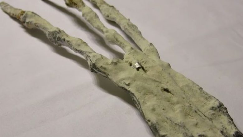 Gjendet skeleti i dorës që besohet se i përket jashtëtokësorit (Video)
