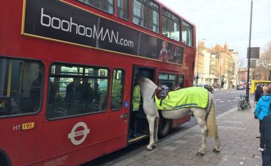 Kali tentoi të hipte në autobus (Foto)