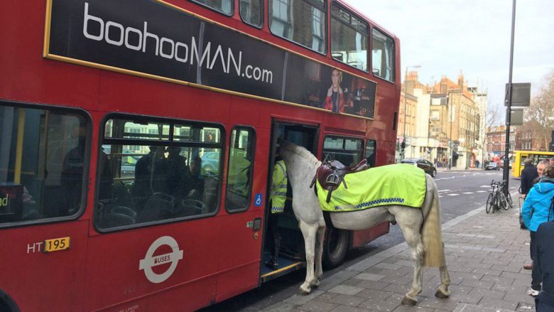 Kali tentoi të hipte në autobus (Foto)