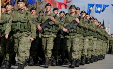 Siguria e shtetit po rrezikohet, Kosova duhet ta ketë ushtrinë