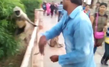 Veprimi i ulët i vizitorit të kopshtit zoologjik ka nxitur shumë shqetësime (Video)