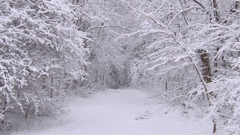Tragjike: Vdes në borë punëtori në fshatin Herticë të Podujevës (Video)