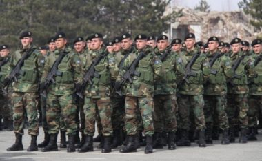 “FSK të bëhet ushtri, policia ka kapacitete profesionale të bollshme”