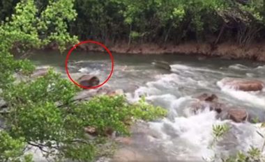 Shkon të peshkojë në lumë por tmerrohet nga ‘monstra’ që del nga uji (Video)