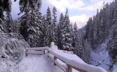 Parku Rainier, bukuri e ngrirë në dimër (Video)