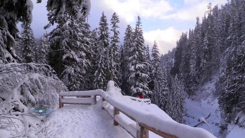 Parku Rainier, bukuri e ngrirë në dimër (Video)