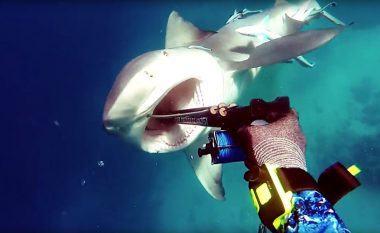 U ballafaqua me peshkaqenin, shihni sa mençur e menaxhoi situatën peshkatari (Video)